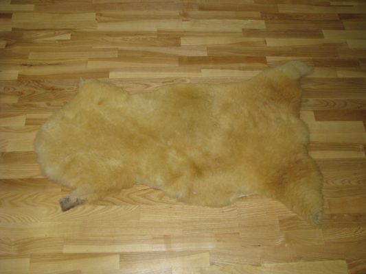 F/21. BÁRÁNYBŐR