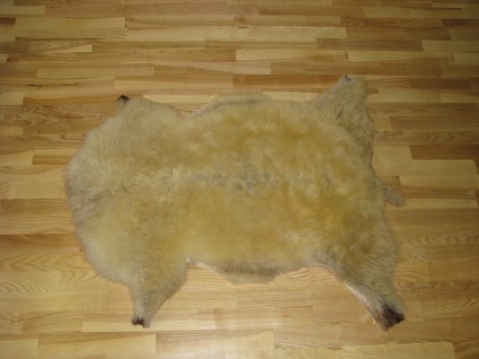 F/26. BÁRÁNYBŐR