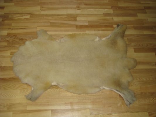 F/5. BÁRÁNYBŐR
